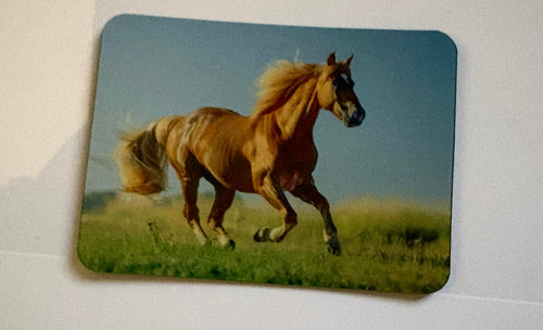 Magnets personnalisées